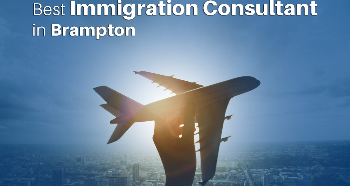 Best Immigration Consultant in Brampton