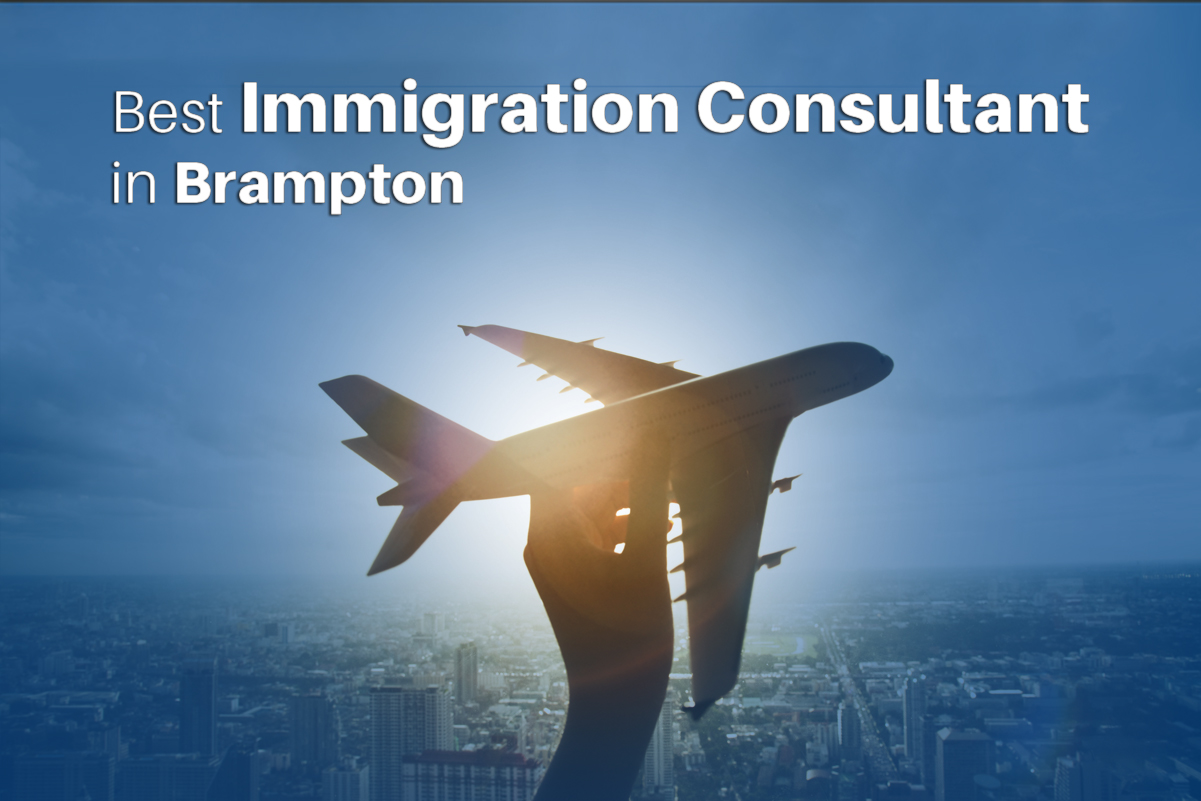Best Immigration Consultant in Brampton
