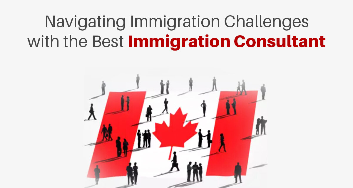 Navigating Immigration Challenges with the Best Immigration Consultant