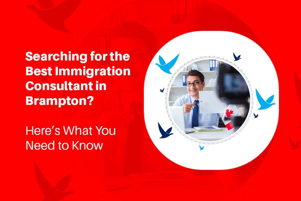 Best Immigration Consultant in Brampton